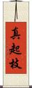 真起枝 Scroll
