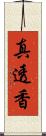 真透香 Scroll