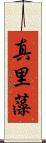 真里藻 Scroll