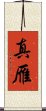 真雁 Scroll