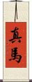 真馬 Scroll
