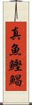 真魚鰹 Scroll