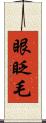 眼眨毛 Scroll