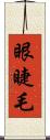 眼睫毛 Scroll