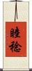 睦稔 Scroll