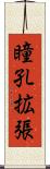 瞳孔拡張 Scroll