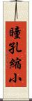 瞳孔縮小 Scroll