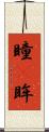 瞳(P) Scroll