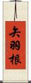 矢羽根 Scroll
