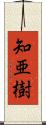 知亜樹 Scroll