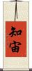 知宙 Scroll