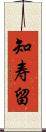 知寿留 Scroll