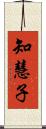 知慧子 Scroll