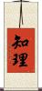 知理 Scroll