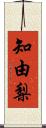 知由梨 Scroll