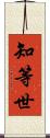 知等世 Scroll