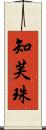 知芙珠 Scroll