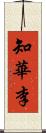 知華李 Scroll