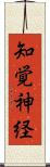 知覚神経 Scroll