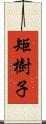 矩樹子 Scroll