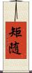 矩随 Scroll