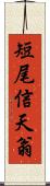 短尾信天翁 Scroll