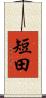 短田 Scroll