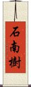 石南樹 Scroll