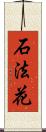 石法花 Scroll