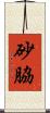 砂脇 Scroll
