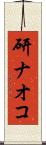 研ナオコ Scroll