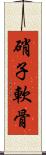 硝子軟骨 Scroll