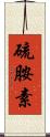硫胺素 Scroll