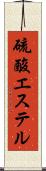 硫酸エステル Scroll