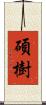 碩樹 Scroll