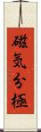 磁気分極 Scroll