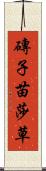 磚子苗 Scroll