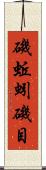 磯蚯蚓 Scroll