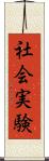 社会実験 Scroll