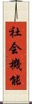 社会機能 Scroll