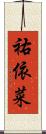 祐依菜 Scroll