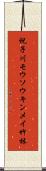 祝子川モウソウキンメイ竹林 Scroll