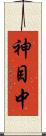 神目中 Scroll
