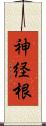 神経根 Scroll
