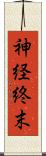 神経終末 Scroll
