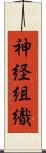 神経組織 Scroll