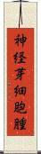 神経芽細胞腫 Scroll
