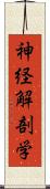 神経解剖学 Scroll