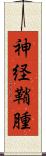 神経鞘腫 Scroll