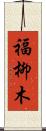 福柳木 Scroll